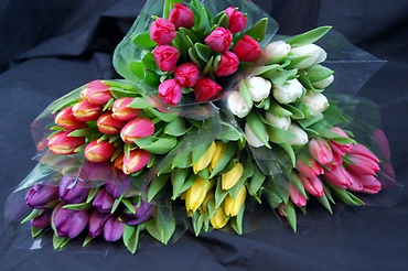10 Stem Bunch Tulips
