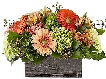 Hello Gorgeous Arrangement