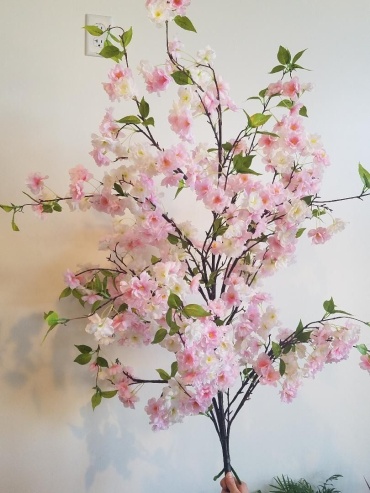 Apple Blossom Bush 