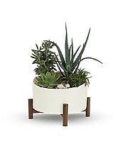 Desert Chic Garden