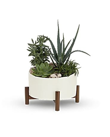 Desert Chic Garden