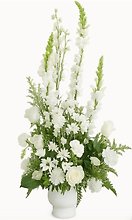 All White Sympathy Sentiments