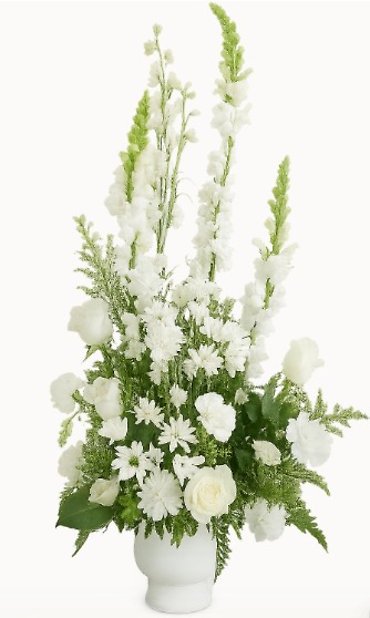 All White Sympathy Sentiments