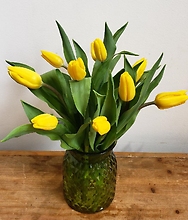 10 Tulips in Colored Vase