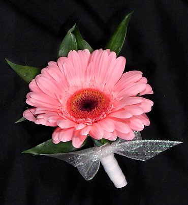 Gerber Boutonniere