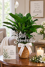 The Sympathy Peace Lily