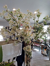 Apple Blossom Stem White