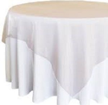 Blush Organza Overlay 