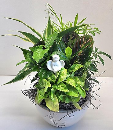 Angel Planter