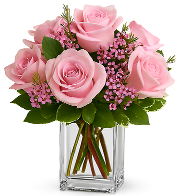 6 Rose Cube - Choose Color