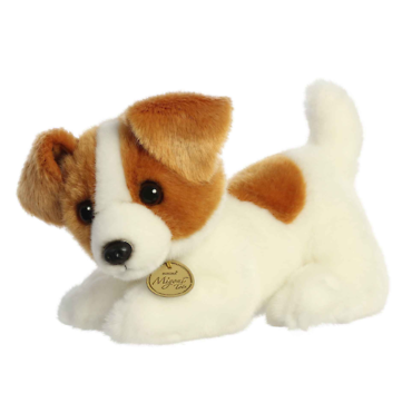 Jack Russell Pup