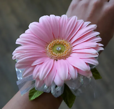 Gerber Daisy Wrist Corsage