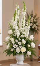 All White Sympathy Sentiments