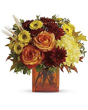 Autumn Expressions