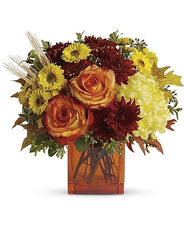 Autumn Expressions