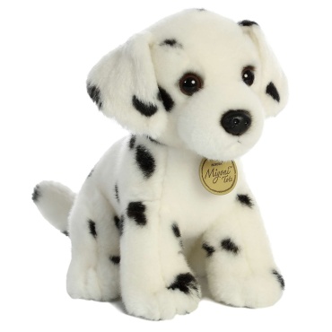 Dalmatian Pup