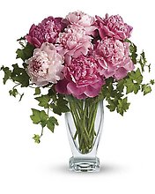 7 Perfect Peonies