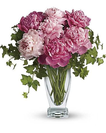 7 Perfect Peonies