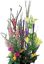 A Colorful Life Sympathy Arrangement