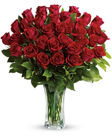 Roses Arranged-36