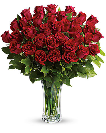 Roses Arranged-36