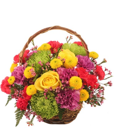 Colorful Basket