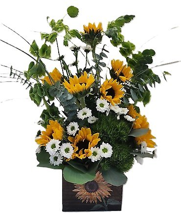 Muskegon Sunflower Lover Bouquet
