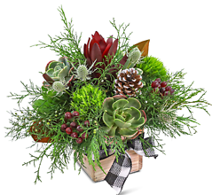 Holiday Wild Garden Mix