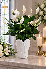 Wings Of Peace Planter