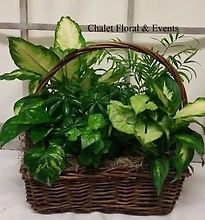 Large Planter Basket