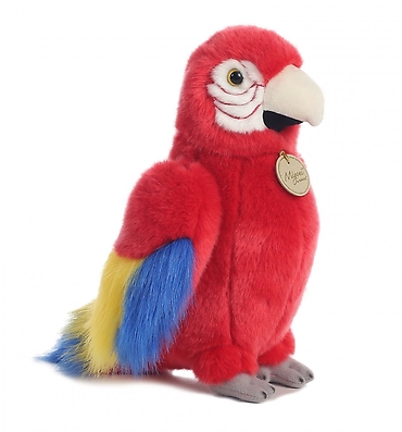 Macaw Parrot