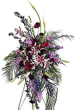 Tender Touch Standing Spray