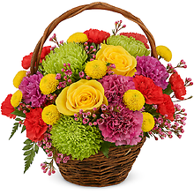 Colorful Basket