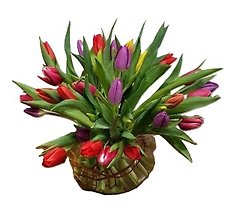 Bubble Bowl Of 30 Tulips