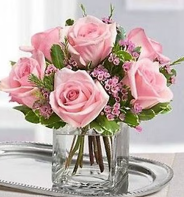 6 Pink Rose Cube
