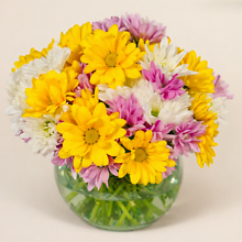 Rose Bowl Daisy Bouquet