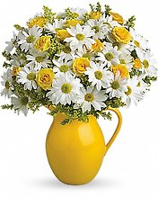Sunny Day Pitcher of Daisies