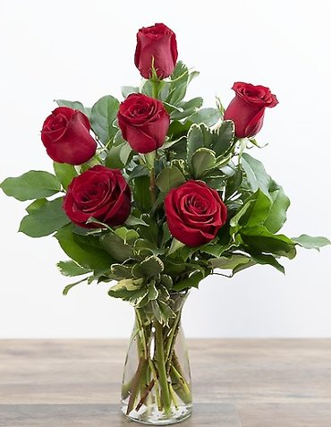 6 Red Roses Arranged