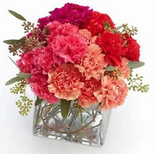 Ultimate Carnation Cube Bouquet