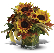 Funflowers