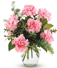 Dozen Carnations Arranged Choose Color