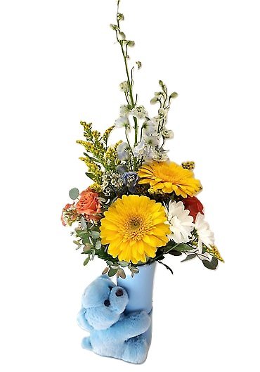New Baby Boy Bouquet