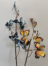 Butterfly Accent Spray