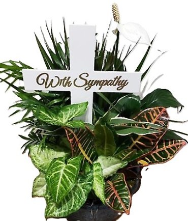 Wood Cross In Ceramic Planter