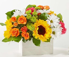Sun-drenched Blooms Box Bouquet