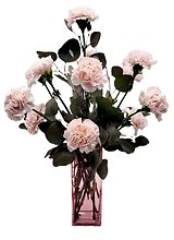 Dozen Pink Carnations In Pink Vase