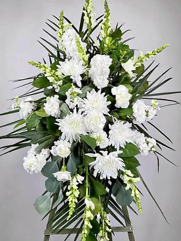 White Wood Grace