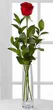 Classic Rose Bud Vase