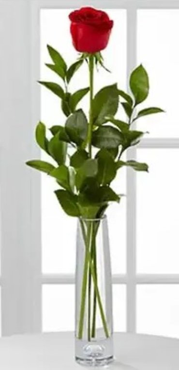 Classic Rose Bud Vase