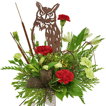 Merry Christmas Owl ways